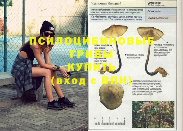мяу мяу мука Вяземский